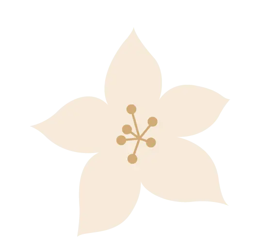 Fleur décorative beige utilisée comme élément graphique pour les menus de Noël.